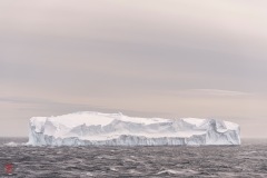 SEABOURN-VENTURE-Antarctica-2023145