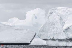 SEABOURN-VENTURE-Antarctica-2023164