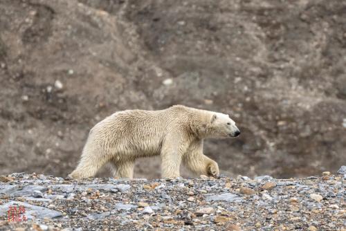 SeabournVenture_005