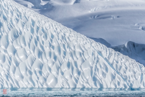 SEABOURN-VENTURE-Antarctica-2023039