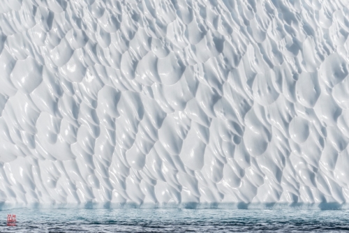 SEABOURN-VENTURE-Antarctica-2023040