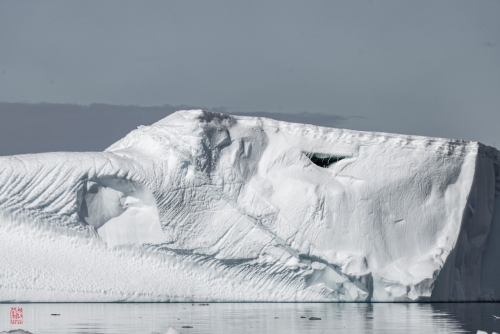 SEABOURN-VENTURE-Antarctica-2023043