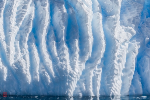 SEABOURN-VENTURE-Antarctica-2023045
