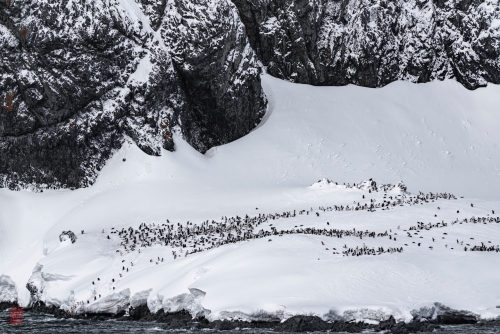 SEABOURN-VENTURE-Antarctica-2023142