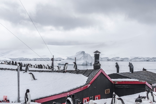 SEABOURN-VENTURE-Antarctica-2023162