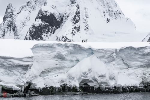 SEABOURN-VENTURE-Antarctica-2023163